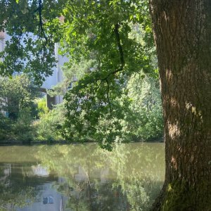 Spaziergang zum Langwassersee